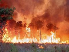 Fransa’daki orman yangınları söndürülemiyor